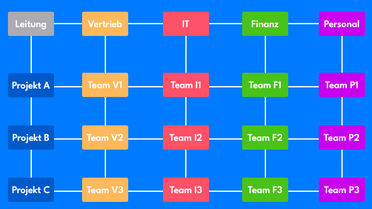 Matrixorganisation
